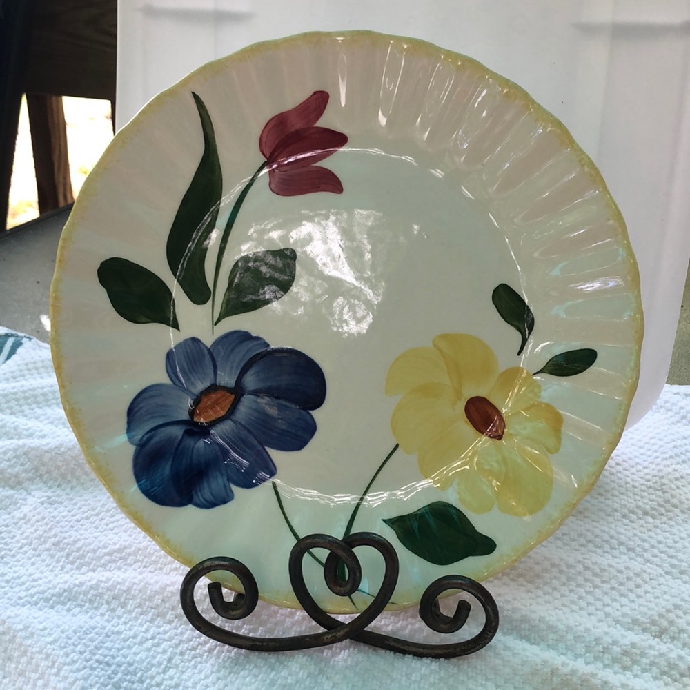 Blue Ridge Southern Potteries Hand Painted Flower Pattern Plate